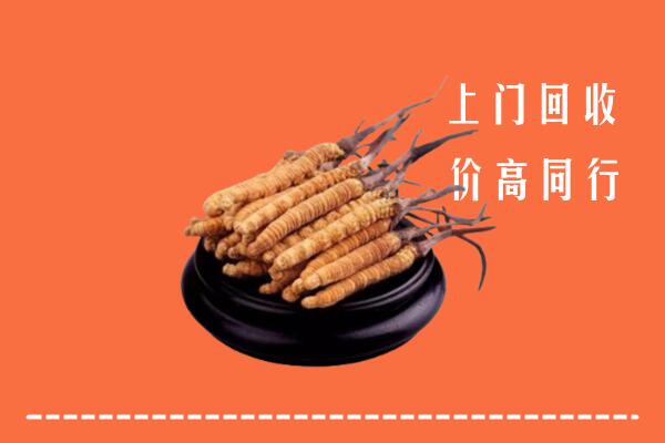 高价求购：海东回收散虫草