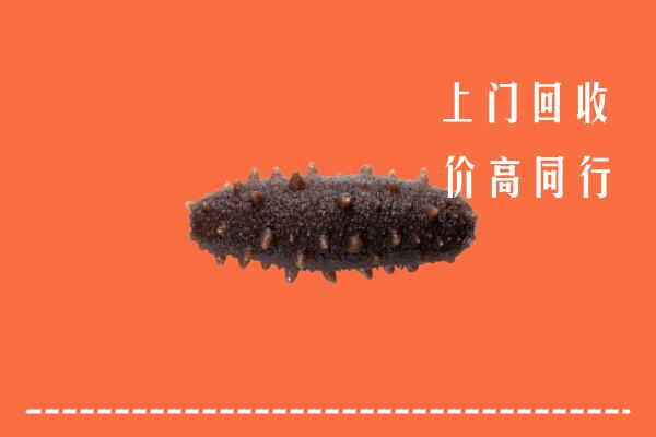 高价求购：海东回收海参