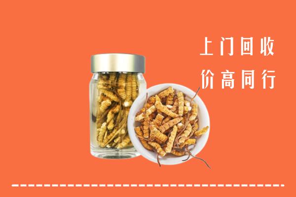 海东回收冬虫夏草